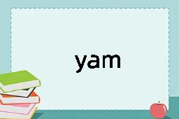 yam