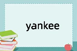 yankee