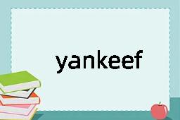 yankeefied