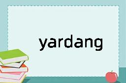 yardang