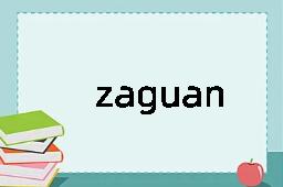 zaguan