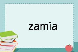 zamia