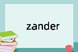 zander