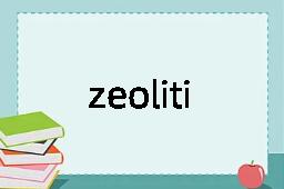 zeolitize