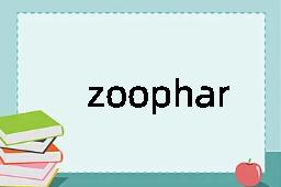 zoopharmacy