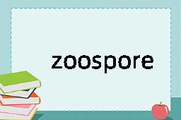 zoospore